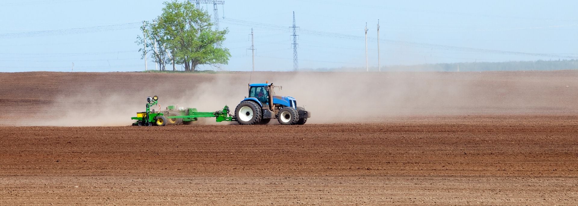 planting planting