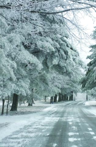 winter road