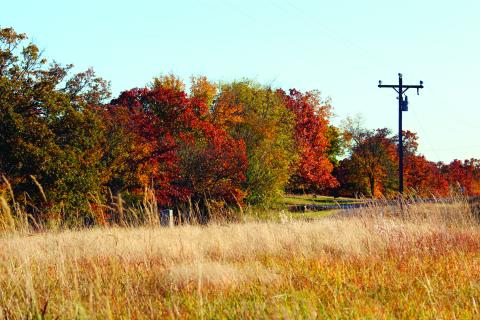 Oklahoma Fall Image taken by Jennifer Boeck, People’s Electric Cooperative.