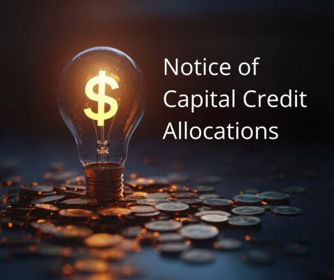 Capital Credit Allocations