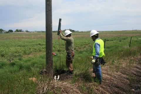 Pole Testing