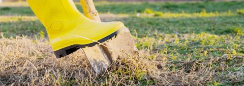 Safe Digging