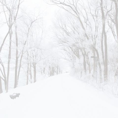 Winter scene