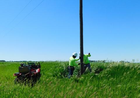 SBS Inspections Pole Testing
