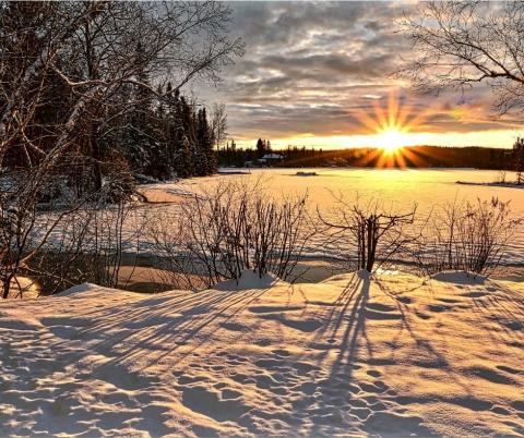 winter sun